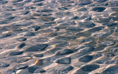 Erbjudande Januari – Mars 2023