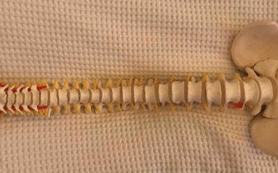 Pezfelix – nu på www.7999.se