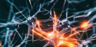 DIPLOM – HÄNDERNA PÅ NERVSYSTEMET – MARIA BERNSPÅNG